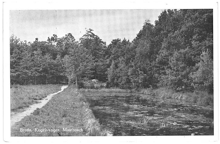 964533	Breda	Kogelvanger Mastbosch	1957	Gelopen met postzege, Verzamelen, Ansichtkaarten | Nederland, Gelopen, Noord-Brabant, 1940 tot 1960