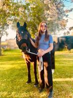 Topbrave New Forest Pony ~Tessa~ Stermerrie, Dieren en Toebehoren, Pony's, Merrie, B, Gechipt, C pony (1.27m tot 1.37m)