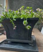Zware gietijzeren bloembak plantenbak sober landelijk, Antiek en Kunst, Ophalen