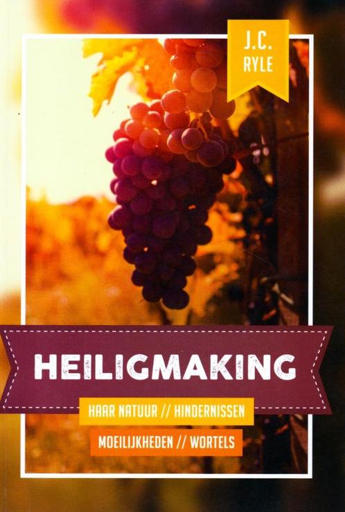 Heiligmaking - J.C. Ryle & D.M. Lloyd-Jones / 9789463350174, Boeken, Godsdienst en Theologie, Zo goed als nieuw, Ophalen of Verzenden