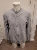 Mooie grijze A Fish Named Fred vest maat XL, Kleding | Heren, Ophalen of Verzenden, Zo goed als nieuw, Grijs, A fish named Fred