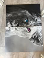 Canvas doek leeuw en leeuwin 60x90 per stuk, Ophalen