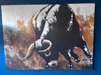 Olieverf schilderij stier, Ophalen