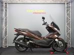Honda PCX 150, Motoren, Motoren | Honda, Bedrijf, Scooter