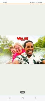 Walibi tickets