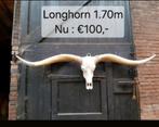 Longhorn Schedel 1.70m - Stoere Decoratie, Ophalen of Verzenden, Nieuw