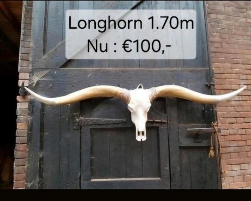 Longhorn Schedel 1.70m - Stoere Decoratie, Huis en Inrichting, Woonaccessoires | Overige, Nieuw, Ophalen of Verzenden