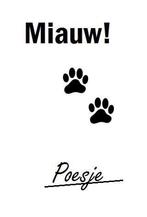 Opzoek naar een poes, Kater