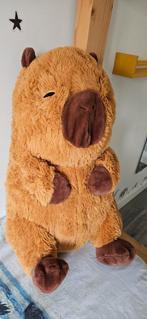 Capibara knuffel, Ophalen of Verzenden, Zo goed als nieuw, Overige typen