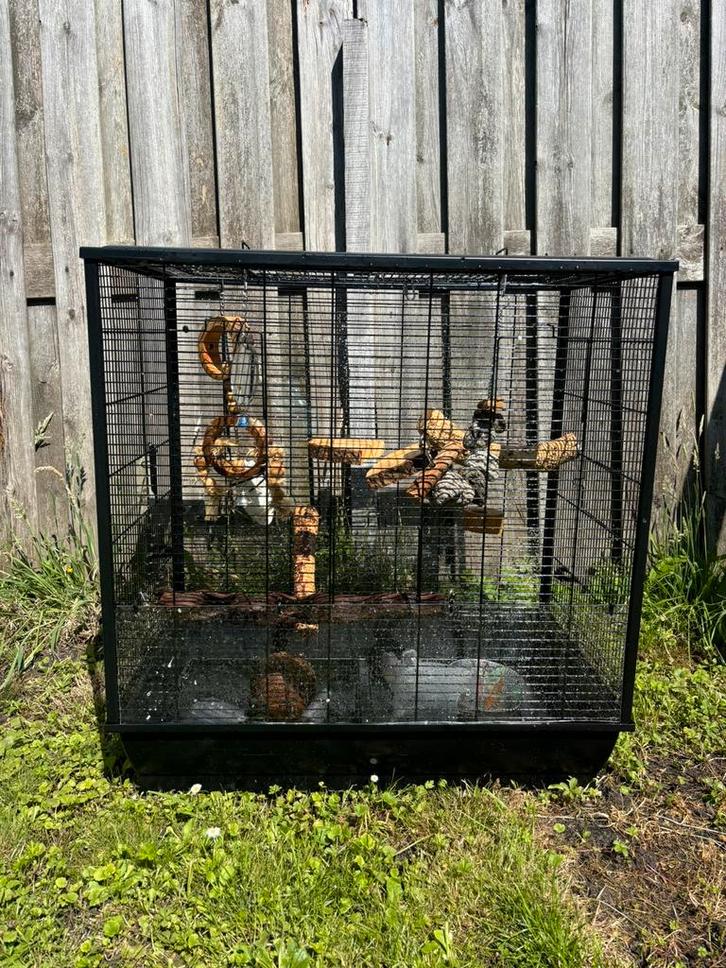 Vogelkooi, Dieren en Toebehoren, Vogels | Hokken en Kooien, Gebruikt, Vogelkooi, Metaal, Ophalen of Verzenden