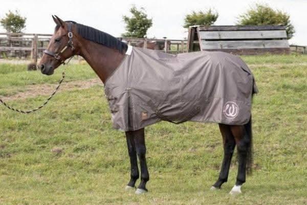 Diverse regendekens en winterdekens sterk afgeprijsd, Dieren en Toebehoren, Paarden en Pony's | Dekens en Dekjes, Nieuw, Deken