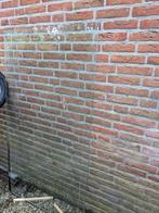 Glasplaat gehard 160 x 90, Doe-het-zelf en Verbouw, Glas en Ramen, Ophalen, Gebruikt, 80 tot 120 cm, 160 cm of meer