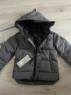 Canada goose jas, Kleding | Heren, Jassen | Winter, Ophalen of Verzenden, Zo goed als nieuw, Maat 46 (S) of kleiner, Grijs