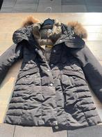 Parajumper jas meiden, Kleding | Dames, Jassen | Winter, Zwart, Maat 34 (XS) of kleiner, Gedragen, Parajumpers