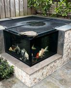 Te koop aangeboden: complete Koi- vijver, Ophalen, Gebruikt