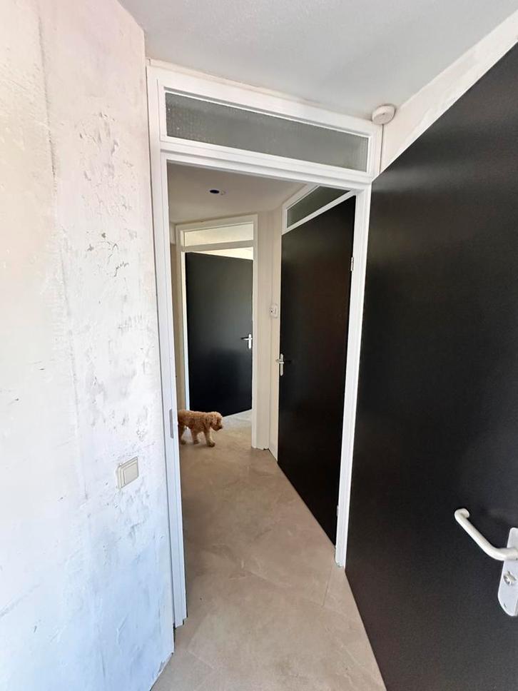 Schilder nodig? Bel of mail MK Vastgoedonderhoud, Diensten en Vakmensen, Schilders en Behangers, Binnenschilderwerk, Buitenschilderwerk