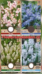 Bloembollen Mix - Kleurrijke Tuin!, Ophalen of Verzenden, Najaar, Volle zon, Bloembol
