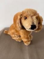 Steiff Bazi, jonge teckel, 3310, Ophalen of Verzenden