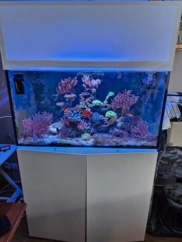 Aquamedic armatus 375XD met kast en bovenkap zonder have beschikbaar voor biedingen