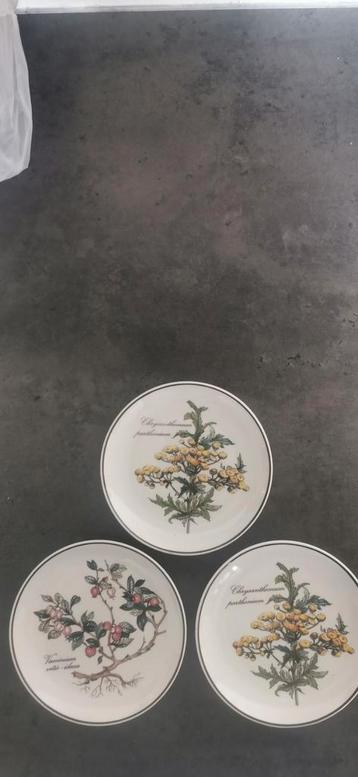 Villeroy en boch bordjes. 3 stuks  beschikbaar voor biedingen