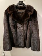 Nerts jasje, bruin, maat 36, Bruin, Verzenden, Regina Pelze, Maat 36 (S)