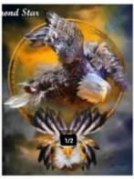 diamond painting full., Ophalen of Verzenden, Nieuw, Knutselwerk