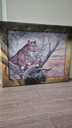 Panter schilderij, Ophalen, Gebruikt, Schilderij, 75 cm of meer