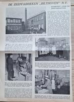 De Bilt, Bilthoven, Maartensdijk etc. (Utr) - oude knipsels., Ophalen of Verzenden, 1920 tot 1940, Utrecht