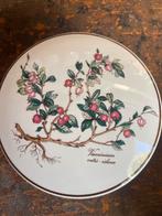 Villeroy & Boch Schaal met deksel, Huis en Inrichting, Keuken | Servies, Ophalen of Verzenden, Overige stijlen, Aardewerk, Schaal of Schalen