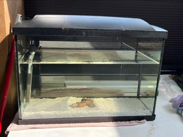 70 liter aquarium beschikbaar voor biedingen