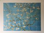 IXXI Wanddecoratie Amandelbloesem Van Gogh, Ophalen