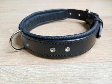 Nieuwe honden halsband  beschikbaar voor biedingen