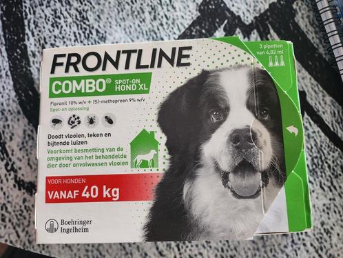 Frontline Combo voor honden vanaf 40KG, Dieren en Toebehoren, Honden-accessoires, Nieuw, Ophalen of Verzenden