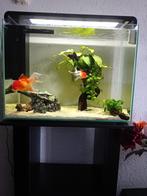 Leuk schoon aquarium 80 Liter, Ophalen of Verzenden, Zo goed als nieuw, Leeg aquarium