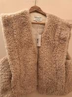Nieuw Catwalk Bodywarmer Vestje, Kleding | Dames, Bodywarmers, Beige, Maat 42/44 (L), Nieuw, Ophalen of Verzenden
