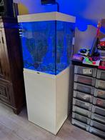 Aqualantis aquarium. Zout zoet zee water aquarium, Dieren en Toebehoren, Vissen | Aquaria en Toebehoren, Ophalen, Gevuld zeewateraquarium