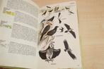 De Europese Vogels in Kleur — Ook N-Afrika & Midden-Oosten, Ophalen of Verzenden, Gelezen, Vogels