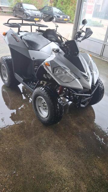 E-ton Vector 250cc quad automaat autorijbewijs met kenteken  beschikbaar voor biedingen