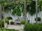 Soft Comfort Ivory 60x60x4, Tuintegel, Terrastegel, Tuin en Terras, Tegels en Klinkers, Ophalen of Verzenden, Nieuw, Beton, Terrastegels