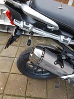 Einddemper Triumph Tiger Explorer Bos Desert Fox, Ophalen