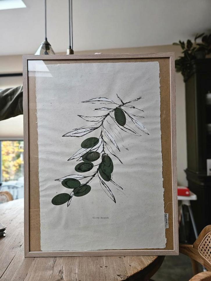 Sagstrom & Co Olive branch 50 x 70 cm Poster, Antiek en Kunst, Kunst | Tekeningen en Foto's, Ophalen of Verzenden