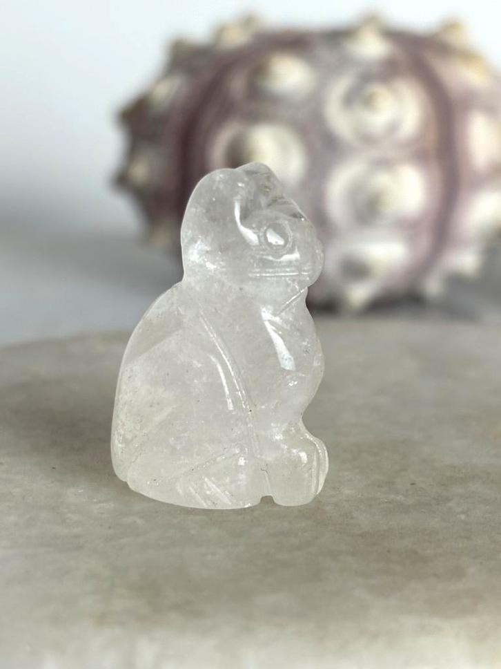 Bergkristal kat, Verzamelen, Mineralen en Fossielen, Ophalen of Verzenden