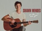 1 Shawn Mendes ticket Ziggo Dome 20 augustus 2025, Tickets en Kaartjes, Eén persoon, Augustus