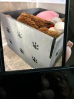 Werpkist, Dieren en Toebehoren, Ophalen of Verzenden, Zo goed als nieuw