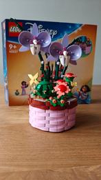 Lego 43237 Disney Encanto inclusief doos, Kinderen en Baby's, Speelgoed | Duplo en Lego, Ophalen of Verzenden, Zo goed als nieuw