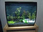 Fluval aquarium 57 liter, Dieren en Toebehoren, Vissen | Aquaria en Toebehoren, Ophalen, Gebruikt, Leeg aquarium