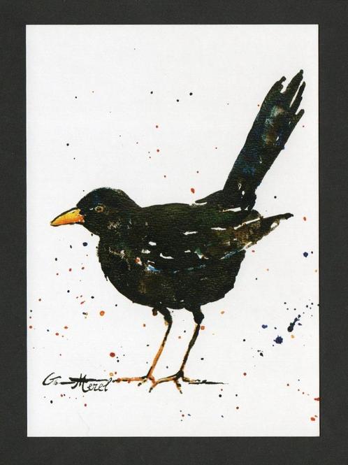 Merel Vogel Turdus Merula  Blackbird door Geertje Rigterink., Verzamelen, Ansichtkaarten | Dieren, Ongelopen, 1980 tot heden, Vogel