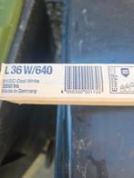 17x TL Buizen L36W/640 - Nieuw, Ophalen