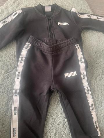 Puma pakje beschikbaar voor biedingen