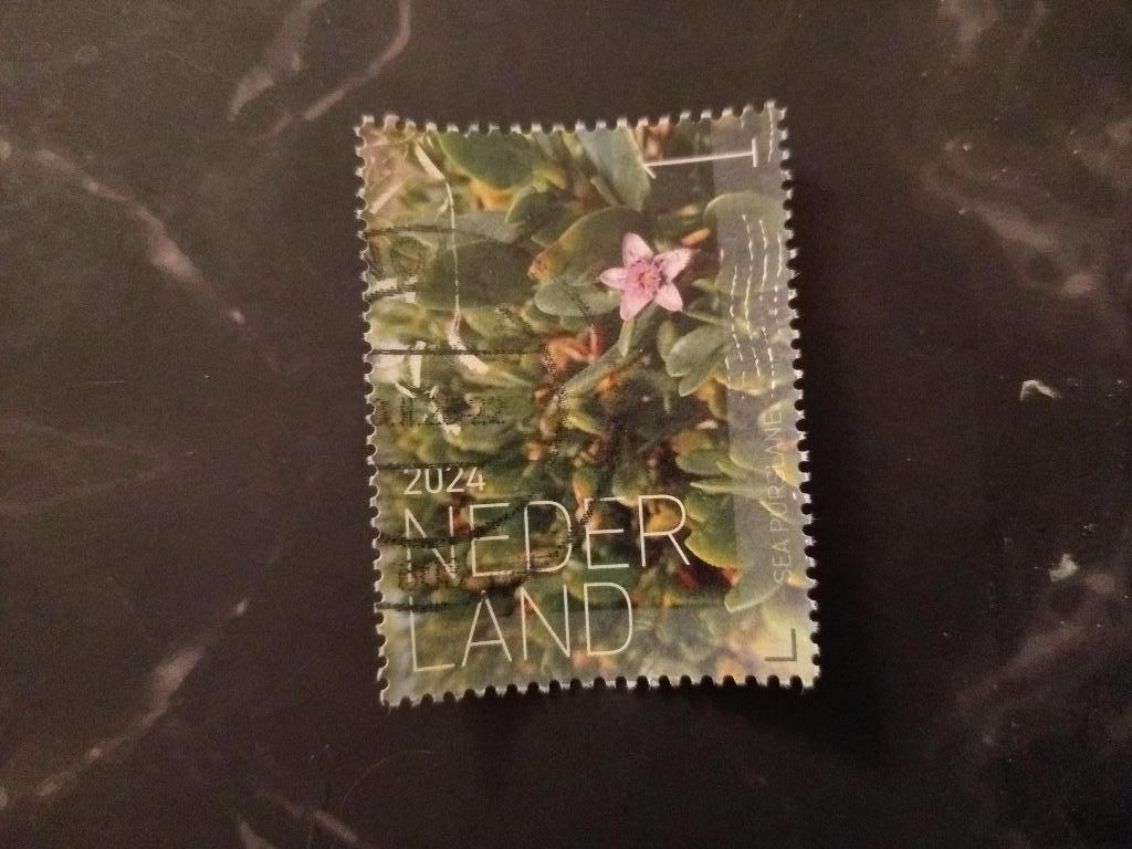 nederland 2024Flora Bonaire de Sea Purslane, Verzenden, Na 1940, Gestempeld
